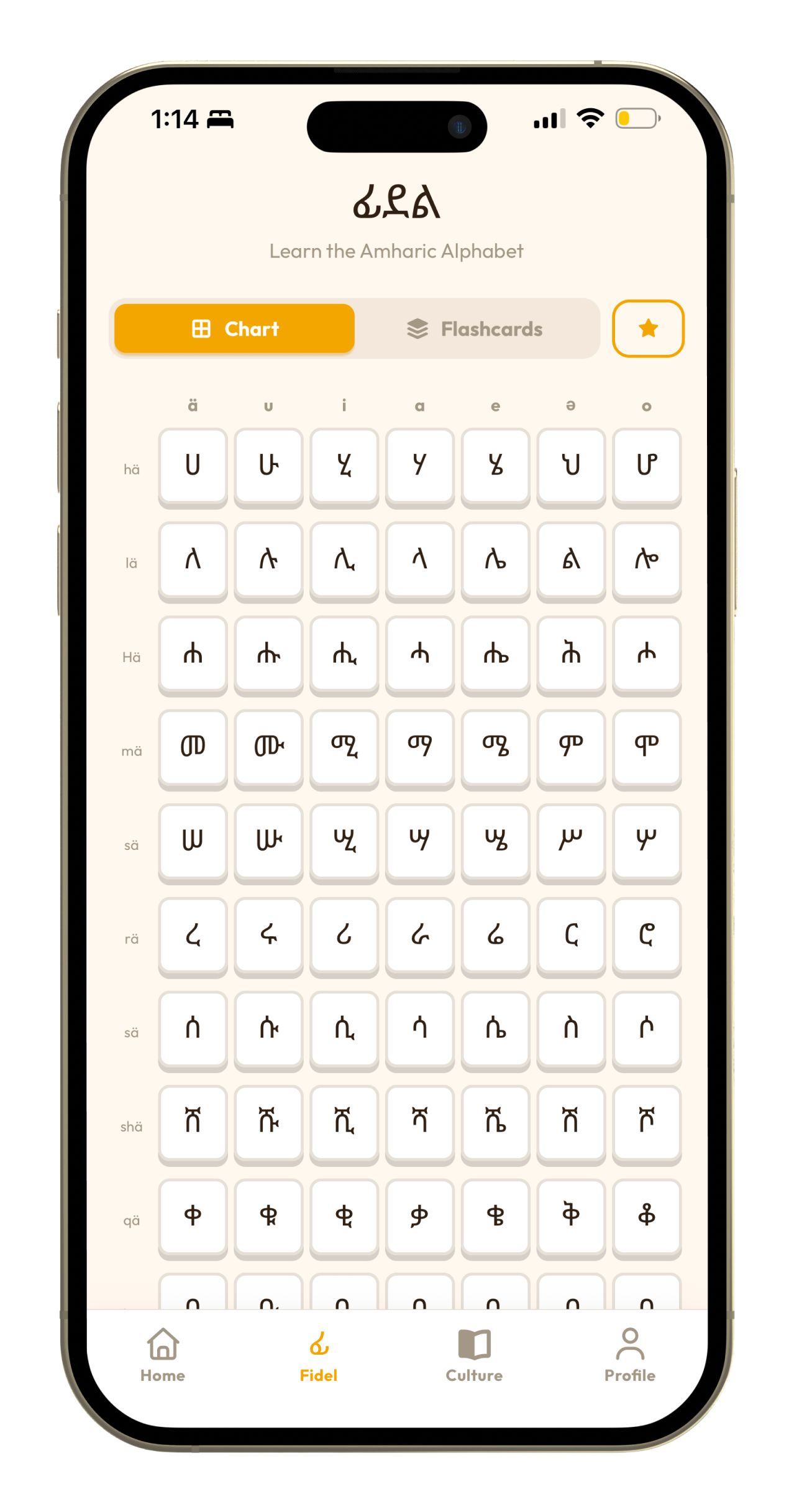 The Amharic Fidel alphabet in Selam.